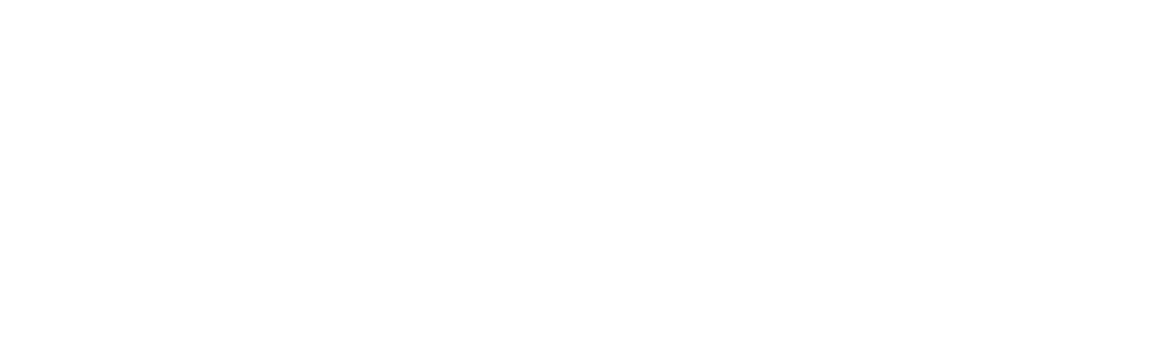 logo DevisVideMaison